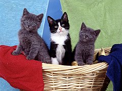 Laundry Time